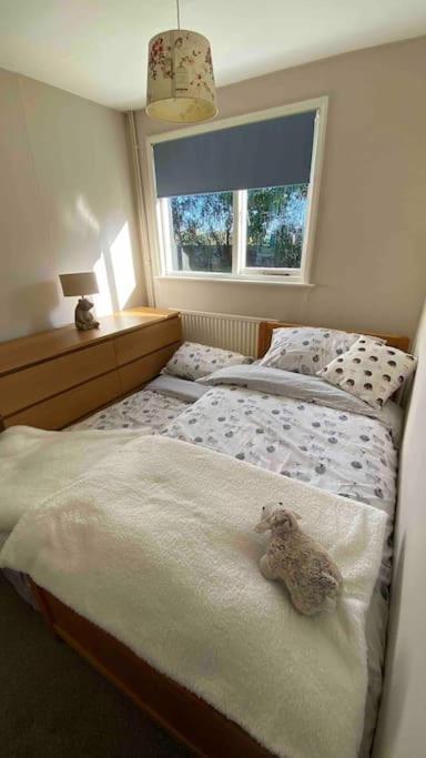 Cheerful 3 Bedroom Bungalow With Indoor Fire Place Gloucester Buitenkant foto